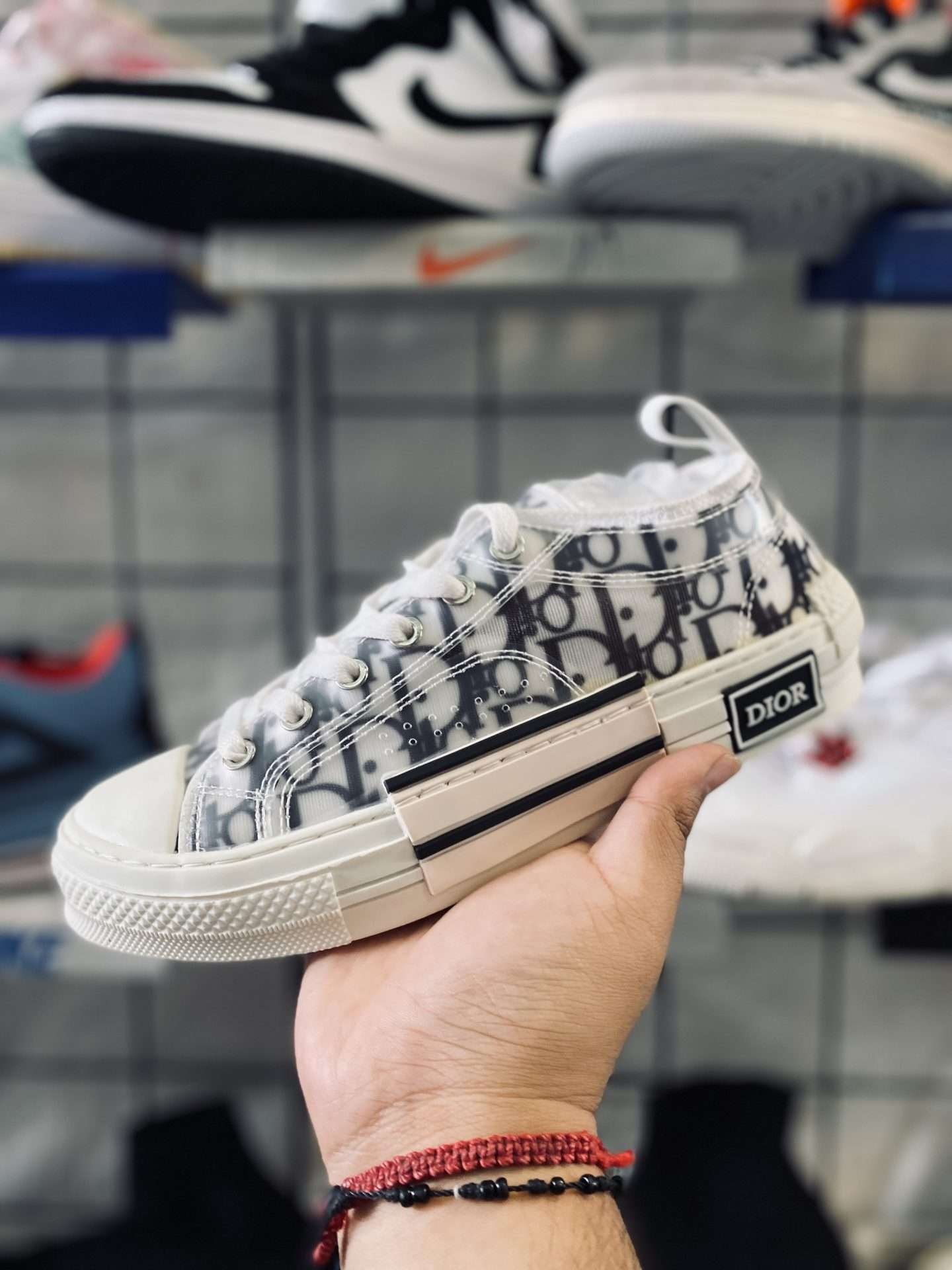 Cristian Dior B23 Low Top Logo Oblique